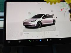 Tesla Model 3 556km Rear-Wheel Drive Edition - ფოტო 17