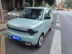Geely Galaxy Panda mini 210km Yuanqi Bear - ფოტო 1