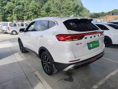 Haval H6 National Trend Edition 1.5T Automatic Urban Version - photo 4