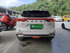 Haval H6 National Trend Edition 1.5T Automatic Urban Version - photo 5