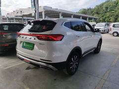 Haval H6 National Trend Edition 1.5T Automatic Urban Version - photo 6