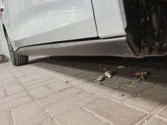 BYD Qin L DM-i Smart Drive Edition 80KM Leading - фото 20