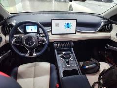 BYD Yuan Plus 510KM Respect and Honor Edition - ფოტო 9