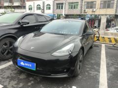Tesla Model 3 556km Rear-Wheel Drive Edition - ფოტო 1