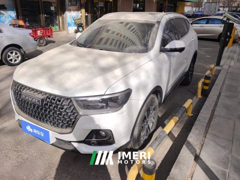 2023 Haval H6 Guochao Edition 1.5T 2WD Urban Edition - car from China