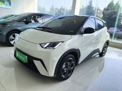 BYD Seagull Glory Edition 405km Flying Edition - ფოტო 1
