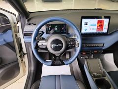 BYD Seagull Glory Edition 405km Flying Edition - ფოტო 10