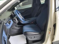 BYD Seagull Glory Edition 405km Flying Edition - ფოტო 14