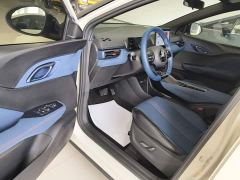BYD Seagull Glory Edition 405km Flying Edition - ფოტო 15