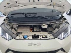 BYD Seagull Glory Edition 405km Flying Edition - ფოტო 19