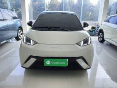 BYD Seagull Glory Edition 405km Flying Edition - ფოტო 2