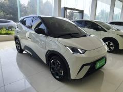 BYD Seagull Glory Edition 405km Flying Edition - ფოტო 3