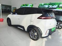 BYD Seagull Glory Edition 405km Flying Edition - ფოტო 4