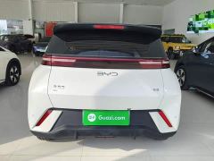 BYD Seagull Glory Edition 405km Flying Edition - ფოტო 5