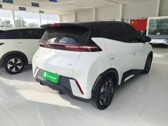 BYD Seagull Glory Edition 405km Flying Edition - ფოტო 6