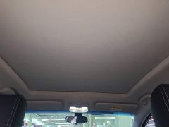 Buick Weilan 6 430km Yue Enjoy Edition - фото 17