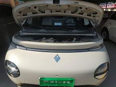 Baojun Yunduo 460 Max - ფოტო 19