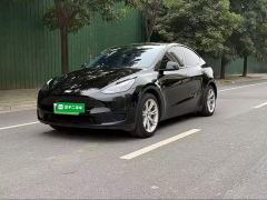 Tesla Model Y Rear-Wheel Drive - ფოტო 1