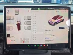 Tesla Model Y Rear-Wheel Drive - ფოტო 11