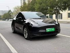 Tesla Model Y Rear-Wheel Drive - ფოტო 3