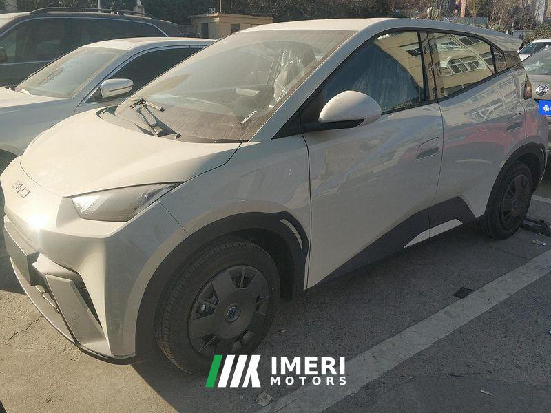 BYD Seagull 305km Vitality Edition