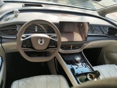 Denza D9 DM-i 1.5T 180km AWD Version 7 - ფოტო 16