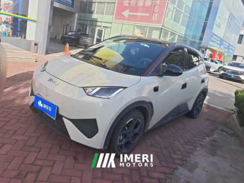 2025 BYD Seagull Smart Driving Edition 305km Free Version - ავტომობილი ჩინეთიდან