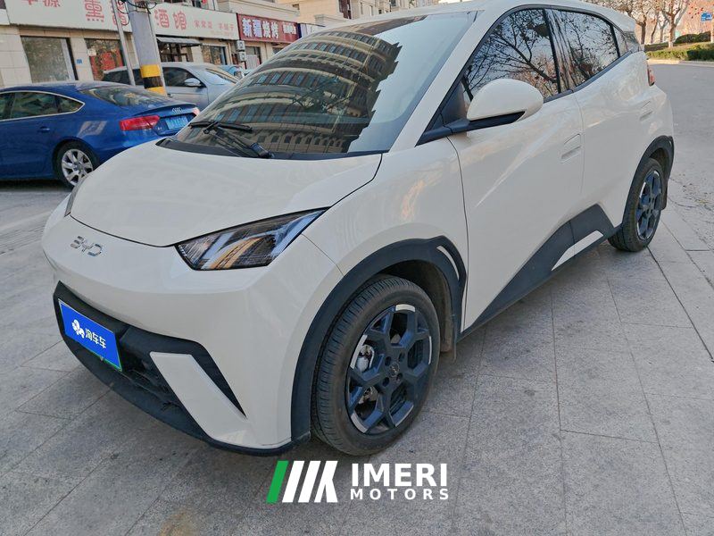 BYD Seagull 305km Free Version - ავტომობილი ჩინეთიდან
