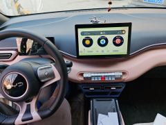 BYD Seagull 305km Free Version - ფოტო 16