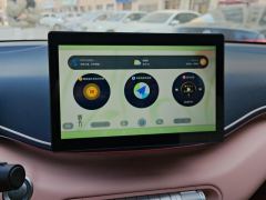 BYD Seagull 305km Free Version - ფოტო 17