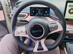 BYD Seagull 305km Free Version - ფოტო 18