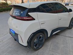 BYD Seagull 305km Free Version - ფოტო 2