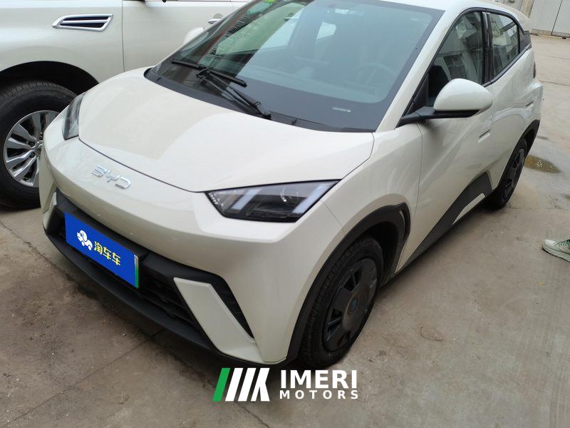 BYD Seagull 305km Vitality Edition - ავტომობილი ჩინეთიდან