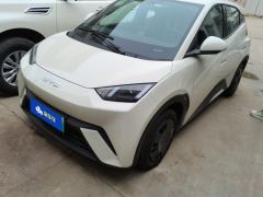 BYD Seagull 305km Vitality Edition - ფოტო 1