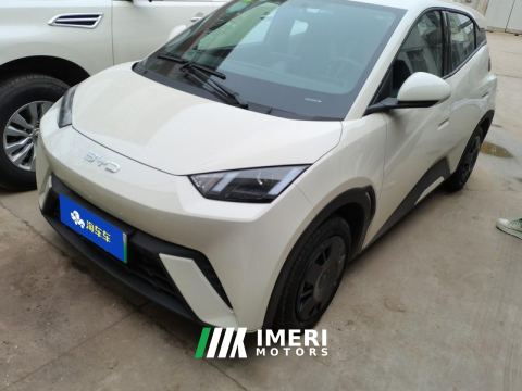 2025 BYD Seagull 305km Vitality Edition - ავტომობილი ჩინეთიდან