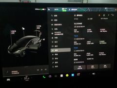 Tesla Model 3 Standard Range Edition - ფოტო 20