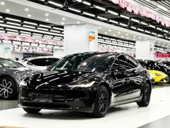 Tesla Model 3 606km Rear-Wheel Drive Edition - фото 1