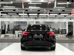 Tesla Model 3 606km Rear-Wheel Drive Edition - фото 4