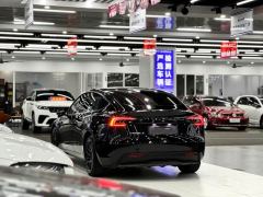 Tesla Model 3 606km Rear-Wheel Drive Edition - фото 5