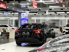 Tesla Model 3 606km Rear-Wheel Drive Edition - фото 7