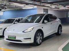 Tesla Model Y Rear-Wheel Drive - фото 1