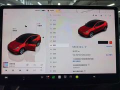 Tesla Model Y Rear-Wheel Drive - фото 10