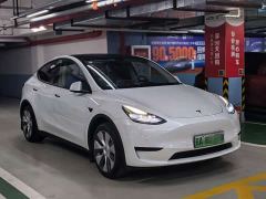 Tesla Model Y Rear-Wheel Drive - фото 3