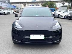 Tesla Model Y Rear-Wheel Drive - ფოტო 2