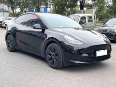Tesla Model Y Rear-Wheel Drive - ფოტო 3