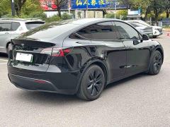 Tesla Model Y Rear-Wheel Drive - ფოტო 7