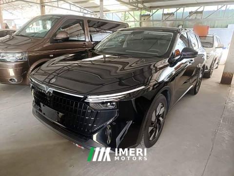 2023 Venucia Raize DD-i 110km iE Edition