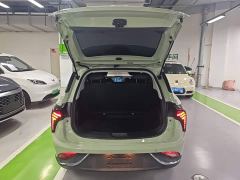 Neta V Tide 300 Lite LFP - photo 18