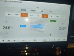 GAC Aion E9 MAX - photo 14