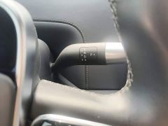 Li Auto L9 Pro - ფოტო 13